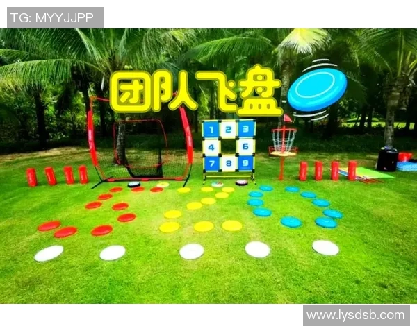 飞盘灵活性排行榜揭晓南京飞盘队表现卓越名列前茅